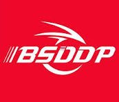 BSDDP